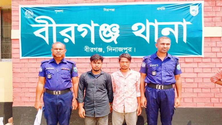 দিনাজপুর বীরগঞ্জ উপজেলায় পৃথক অভিযানে গাঁজাসহ দুই মাদক ব্যবস