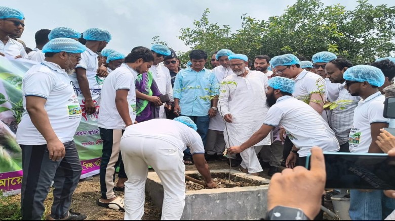 সাপাহার জবই বিলে বৃক্ষ রোপণ ও পরিচ্ছন্ন অভিযানে