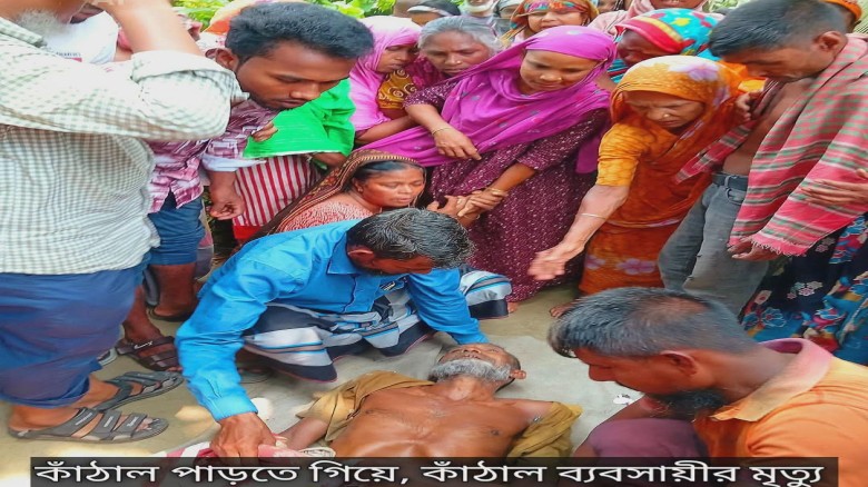 কুড়িগ্রাম উলিপুরে কাঁঠাল পাড়তে গিয়ে বিদ্যুৎ স্পষ্টে কাঁঠাল